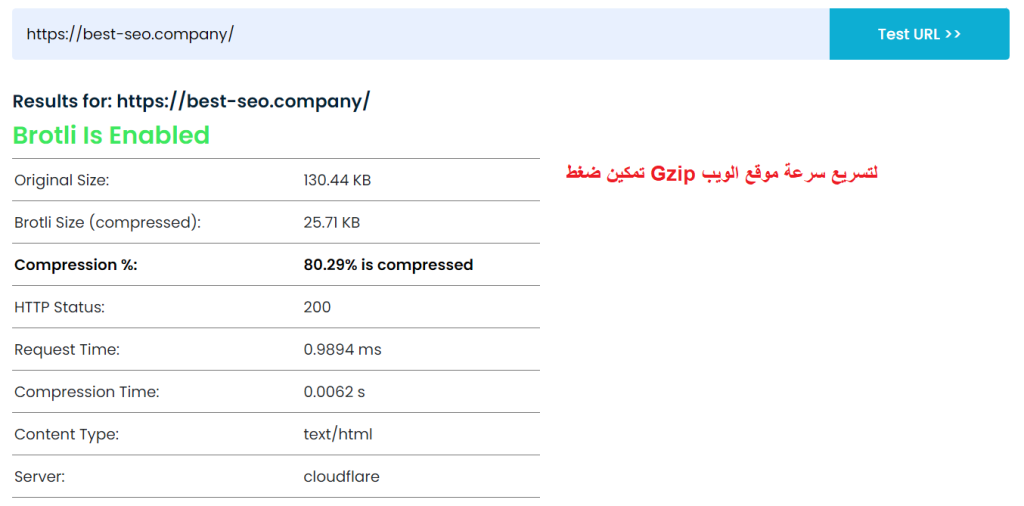 تأكد من دعم وتفعيل GZIP
